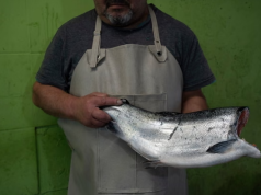 “Quienes comen salmón chileno no pueden imaginar cuánta sangre humana lleva consigo”