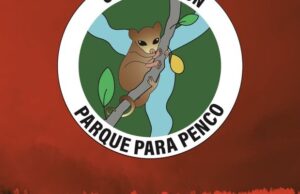 Corporación Parque para Penco: «Se quemó el parque, se quemó donde se quiere instalar la minera»