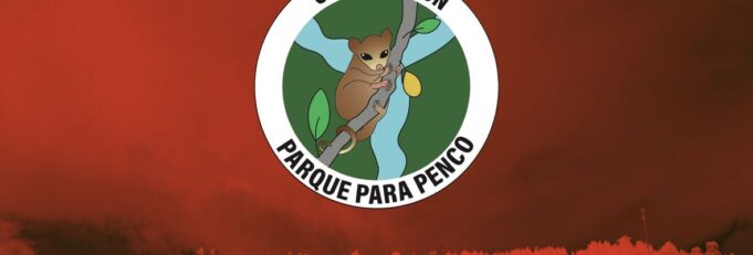 Corporación Parque para Penco: «Se quemó el parque, se quemó donde se quiere instalar la minera»