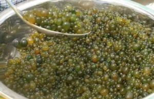 Los incas ya lo consumían y hoy la ciencia confirma su poder nutricional extremo