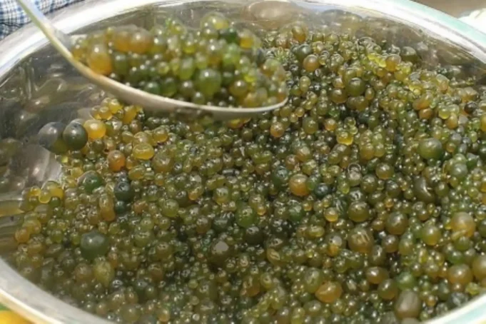 Los incas ya lo consumían y hoy la ciencia confirma su poder nutricional extremo
