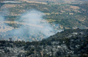 Está quedando fuera de ley de incendios: Los intentos fallidos por prohibir el cambio de uso en suelos quemados
