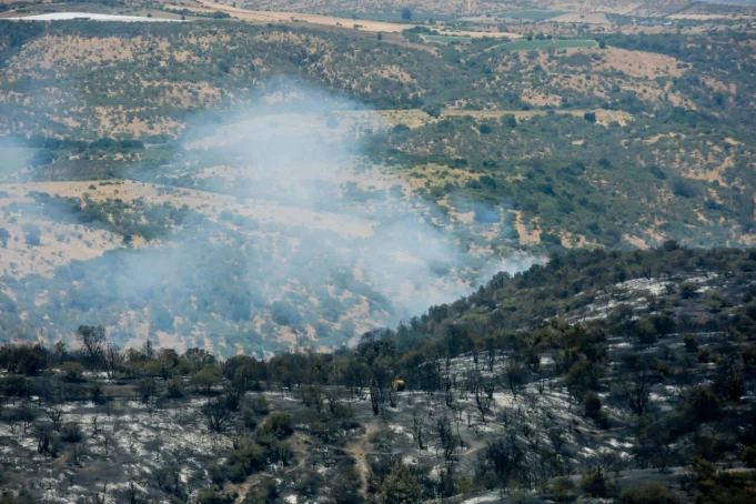 Está quedando fuera de ley de incendios: Los intentos fallidos por prohibir el cambio de uso en suelos quemados