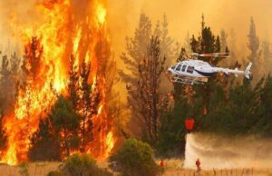 DECLARACIÓN PÚBLICA: MOVIMIENTO MAPUCHE FRENTE A INCENDIOS Y CAMBIO CLIMÁTICO