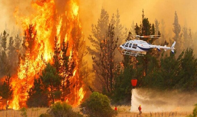 DECLARACIÓN PÚBLICA: MOVIMIENTO MAPUCHE FRENTE A INCENDIOS Y CAMBIO CLIMÁTICO