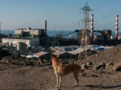 Fundación Sol: Pobreza en Chile sería mucho mayor si se eliminaran aportes estatales como la PGU