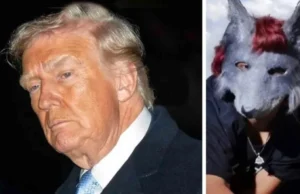 El algoritmo silencia a Epstein: Mientras RRSS invisibilizan la red de pedofilia de las élites, viralizan la moda therians