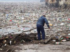 Sin naturaleza no hay negocio: así degradan las empresas el planeta sin rendir cuentas por ello