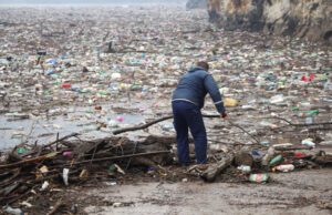 Sin naturaleza no hay negocio: así degradan las empresas el planeta sin rendir cuentas por ello