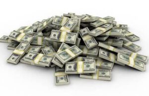 LA DECADENCIA DEL DEPREDADOR