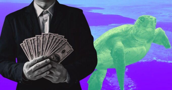 La trama detrás de Copiaport-E: paraísos fiscales y vacíos regulatorios en Chile