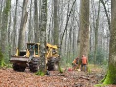 Cómo entender la naturaleza desde una perspectiva marxista