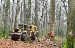 Cómo entender la naturaleza desde una perspectiva marxista