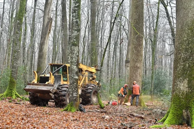 Cómo entender la naturaleza desde una perspectiva marxista