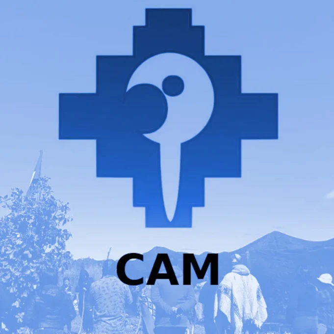 CAM – Declaración pública ante el cierre del gobierno saliente: la causa mapuche no se criminaliza