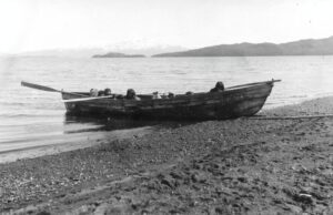 La transparencia indígena kawésqar frente al poder salmonero en TVN