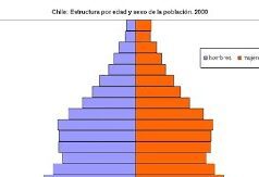 Ver: «Chile en el desastre demográfico» con Patricio Guzmán S.