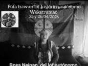Chile – Wallmapu. Autoridades ancestrales, comunidades y organizaciones de Buta Willi Mapu resuelven acciones por sus derechos conculcados