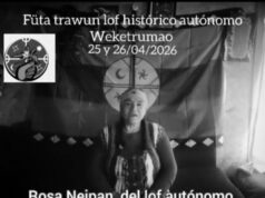 Chile – Wallmapu. Autoridades ancestrales, comunidades y organizaciones de Buta Willi Mapu resuelven acciones por sus derechos conculcados