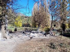 Chile – Wallmapu. Alerta en Alto Biobío: En violento desalojo queman rukas y bienes de familias mapuche pewenche de Lob Rgaliko