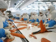 Fundación Libera denuncia ante el organismo comercial de EE.UU. que Chile tolera el trabajo forzado en sus sectores exportadores de salmón y fruta