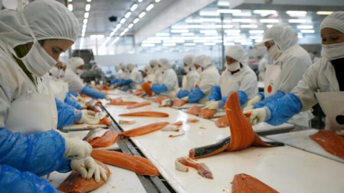 Fundación Libera denuncia ante el organismo comercial de EE.UU. que Chile tolera el trabajo forzado en sus sectores exportadores de salmón y fruta