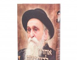 Chaim Brisker, uno de los rabinos más importantes del siglo pasado: «Ha habido muchos grupos heréticos en la historia judía, pero el sionismo es el peor