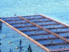 La guerra submarina de la industria salmonera contra los pueblos originarios y defensores de la naturaleza en Chile