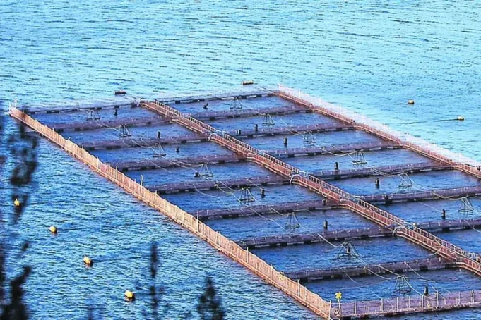 La guerra submarina de la industria salmonera contra los pueblos originarios y defensores de la naturaleza en Chile