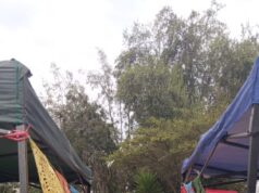 Intervención de Jano Ramírez de Werken Rojo en actividad del 1 de Mayo en San Joaquín