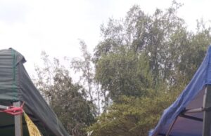 Intervención de Jano Ramírez de Werken Rojo en actividad del 1 de Mayo en San Joaquín