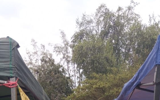 Intervención de Jano Ramírez de Werken Rojo en actividad del 1 de Mayo en San Joaquín