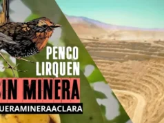 Chile – ¡DE PENCO A LIRQUÉN: EL TERRITORIO SE DEFIENDE!