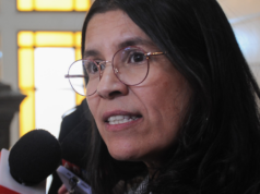 Defensora de Julia Chuñil y familia imputada