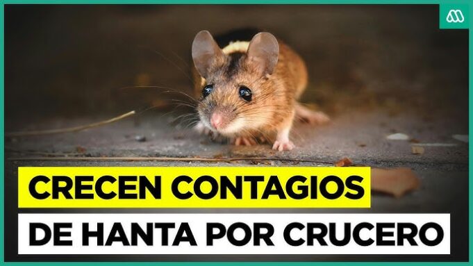 Amenaza de epidemia de virus Hanta