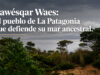 Maniobra de la industria salmonera busca dejar obsoleta la Ley Lafkenche y comunidad Kawésqar responde