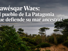 Maniobra de la industria salmonera busca dejar obsoleta la Ley Lafkenche y comunidad Kawésqar responde