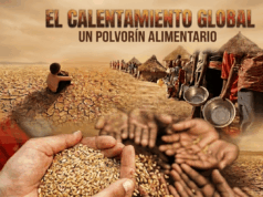 Calentamiento Global: Un polvorín alimentario