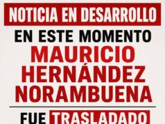 Mauricio Hernández Noranbuena, comandante Ramiro del FPMR