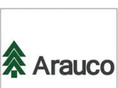 Chile – La empresa «Forestal Arauco S.A.» ha realizado despidos masivos y arbitrarios, dejando a más de 100 trabajadoras y trabajadores cesantes