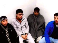 Chile – Caso Lautaro. «Esta batalla no la vamos a ganar solos y sin movilización»: María Rivera, abogada de comuneros mapuche