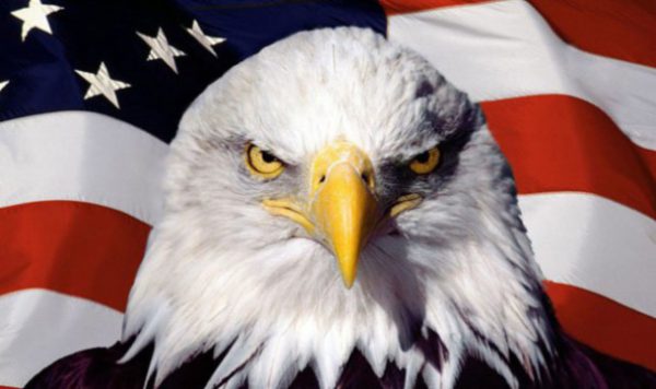 EEUU-aguila-600x356