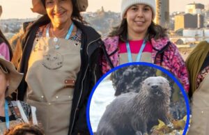 Chile – ¡El mar del Biobío tiene nuevas guardianas!