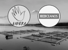 Fundación Libera y Centro Ecoceanos, las ONG chilenas que presentaron los antecedentes de trabajo forzoso ante EE.UU.