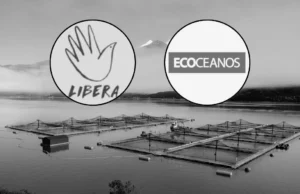 Fundación Libera y Centro Ecoceanos, las ONG chilenas que presentaron los antecedentes de trabajo forzoso ante EE.UU.
