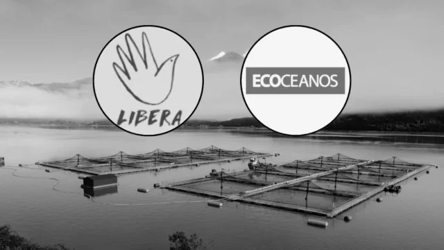 Libera Ecoceanos