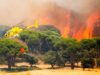 España – Madrid se quema, Ayuso responsable. Las consecuencias del negacionismo climático y los recortes