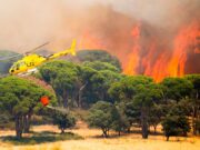 España – Madrid se quema, Ayuso responsable. Las consecuencias del negacionismo climático y los recortes