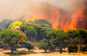 España – Madrid se quema, Ayuso responsable. Las consecuencias del negacionismo climático y los recortes