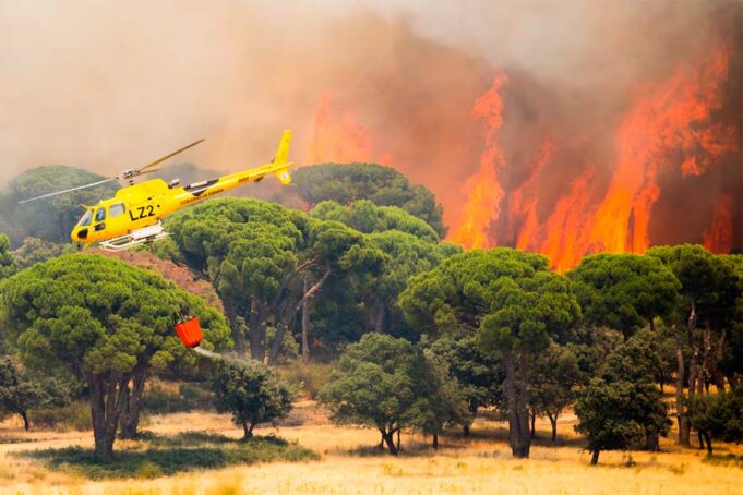 España – Madrid se quema, Ayuso responsable. Las consecuencias del negacionismo climático y los recortes
